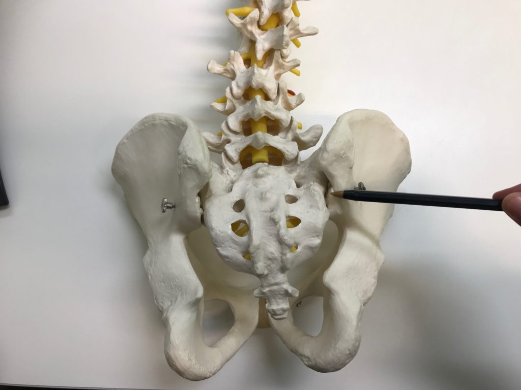Sacroiliac Joint Image